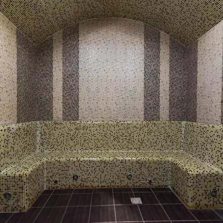 Koncha-zaspa Svaliava